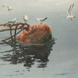 Seagulls on Bouy