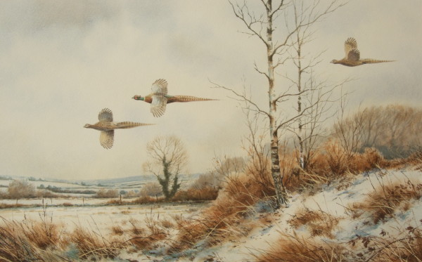 X (SOLD) Pheasants in a Winter Landscape