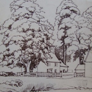 X12 (SOLD) Cottage and Trees