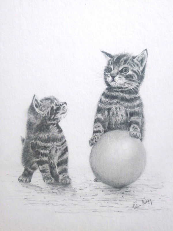 Kittens and Ball