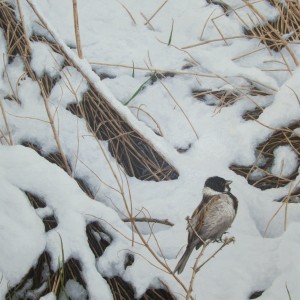 X(SOLD) First Snow (Reed Bunting)