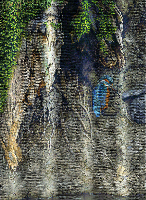 Kingfisher -The Waiting Game