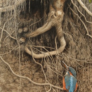 X(SOLD) Kingfisher -The Nest Bank