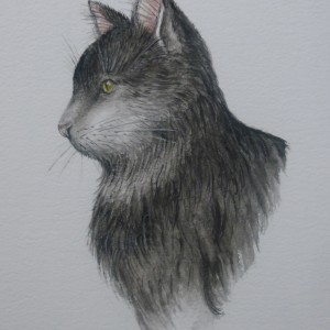Cat Collection: Whiskers (SOLD)