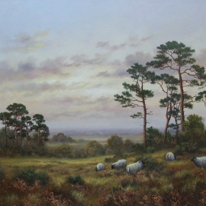 X (SOLD) Breckland Pines