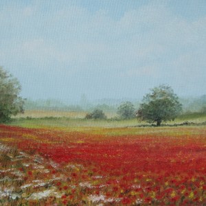 X (SOLD) Scenes – Poppies at Salhouse