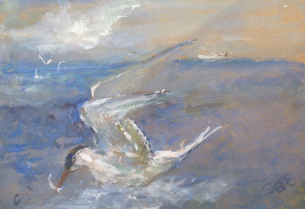 X36 (SOLD) Diving for Food (The Common Tern)