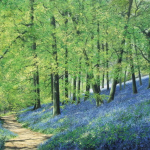 X10 (SOLD) Bluebell