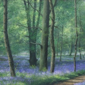 X07 (SOLD) Bluebell