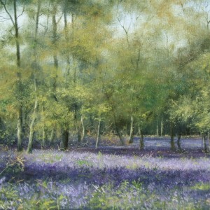 X08 (SOLD) Bluebell