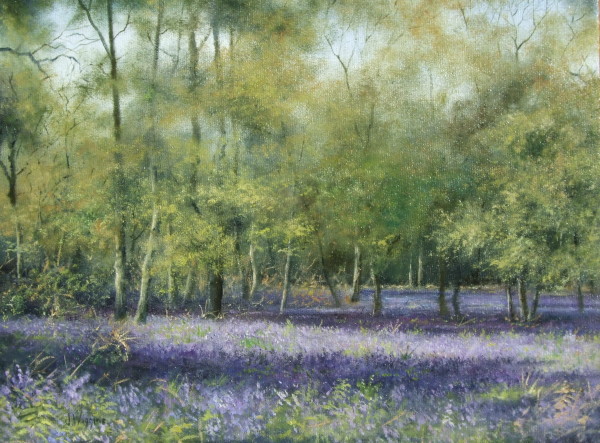 X08 (SOLD) Bluebell