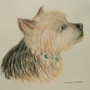 Dog Commission in Pastel (Benji) Yorkshire Terrier (SOLD)