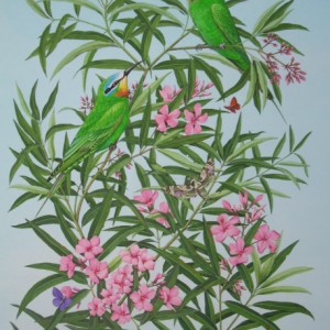 X (SOLD) (ref b) Blue Cheeked Bee Eaters on Oleander