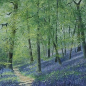 X12 (SOLD)  Bluebell