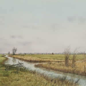 X (SOLD) Claxton Marshes