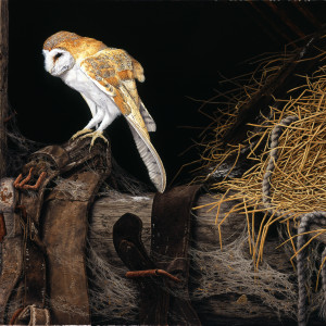 Signed Limited Print (unframed) – “Barn Owl” (In the Hayloft) Published exclusively by Tudor Galleries