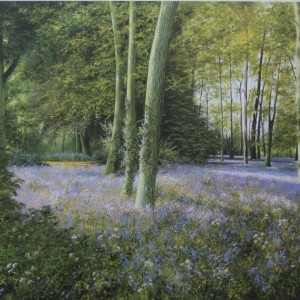 Signed Limited Print – “A Bluebell Wood”