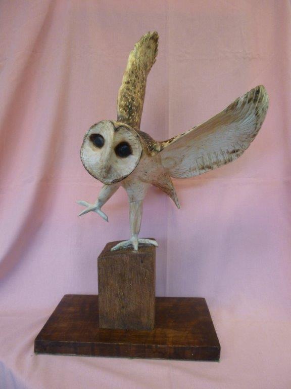 X (SOLD) Barn Owl in Flight no1 (Sycamore with Pyrography finish)