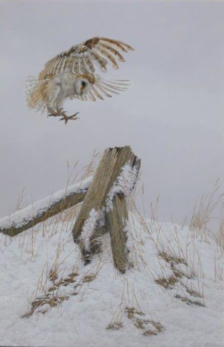 X (SOLD) Snowy Outpost (Barn Owl)