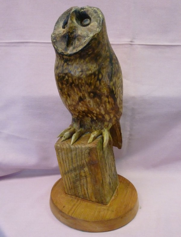 X(SOLD) Short Eared Owl (Lime)