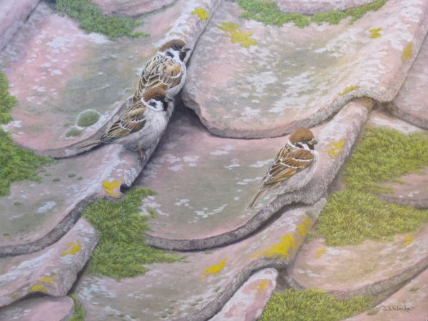 X (SOLD) On the Tiles (Tree Sparrows)