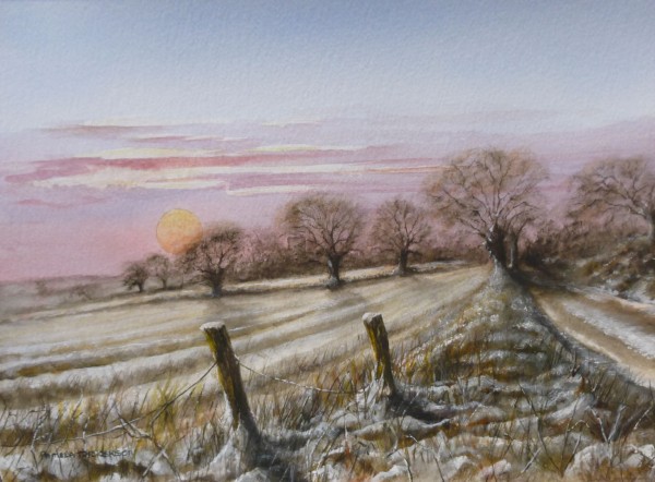Scenes – Winter Sun, Postwick, Norfolk