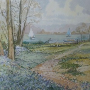 X (SOLD) Bluebell time, Salhouse Broad, Norfolk