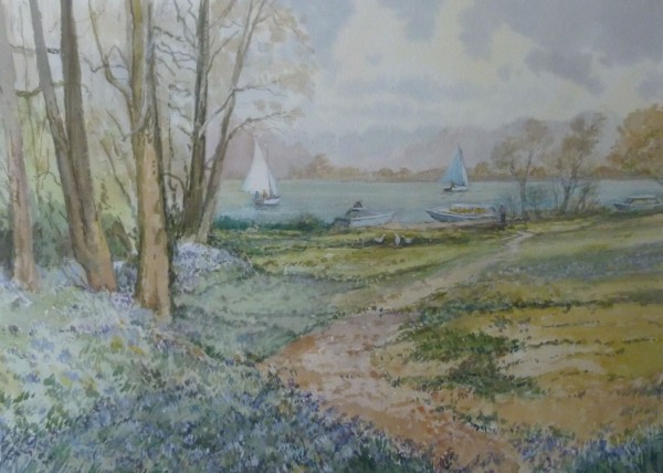 X (SOLD) Bluebell time, Salhouse Broad, Norfolk