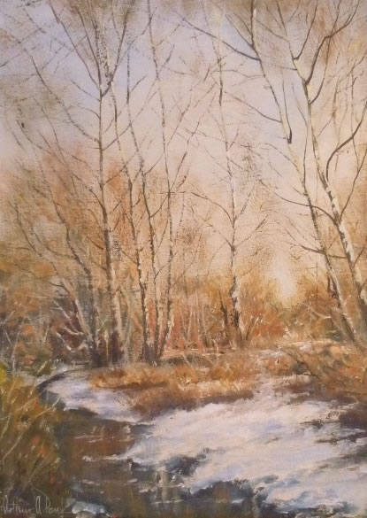 Winter Birches by a stream