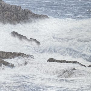 Crashing Surf against the rocks (Herring Gull)