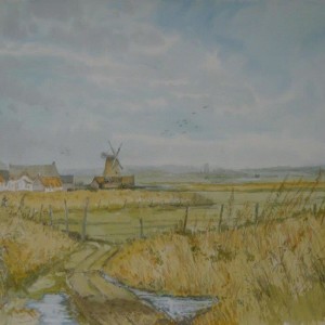 Cley Marshes, Norfolk