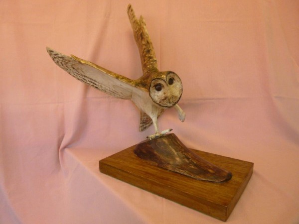 X (SOLD) Barn Owl in Flight no 2 (Sycamore with Pyrography finish)