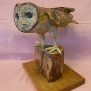 X (SOLD) Barn Owl (Sycamore with Pyrography finish)