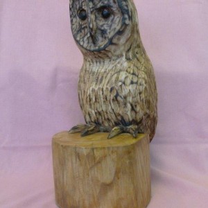 X (SOLD) Tawny Owl (Ash with Pyrography finish)