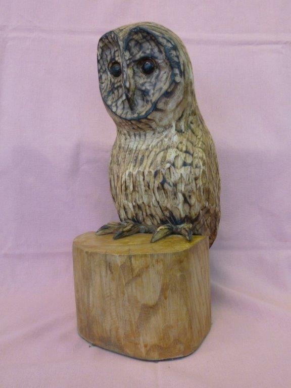 X (SOLD) Tawny Owl (Ash with Pyrography finish)