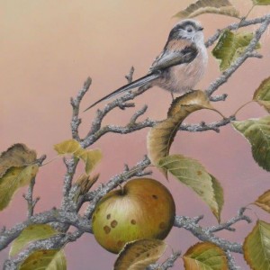 X (SOLD) In the Apple Tree (Long Tailed Tit)