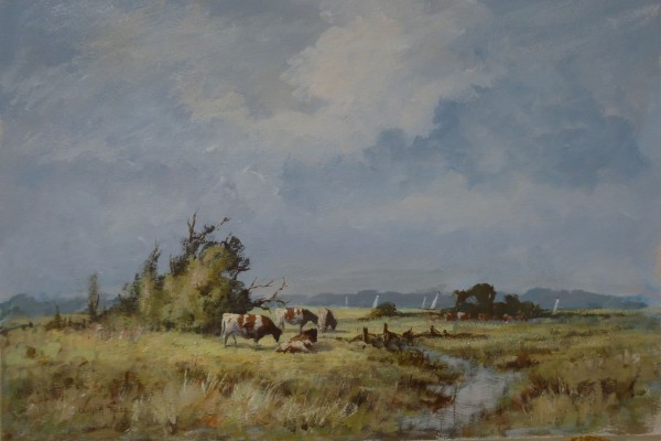 Grazing Cattle, Halvergate Marshes, Norfolk
