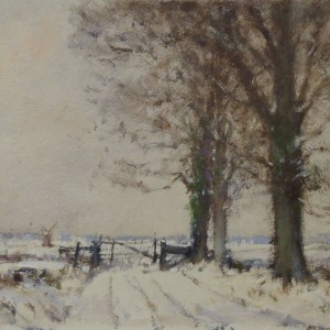 Frozen Norfolk