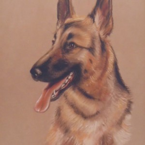 Dog Commission in Pastel (Alsation) (SOLD)