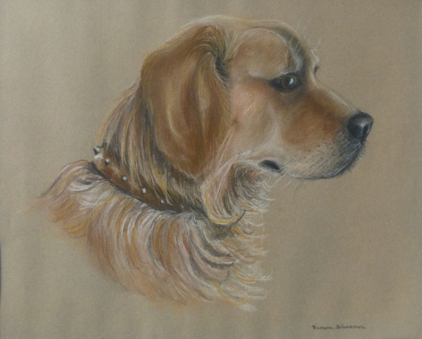 Dog Commission in Pastel (Harvey) Golden Retriever (SOLD)