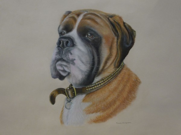 Dog Commission in Pastel (Dexter) The Boxer (SOLD)