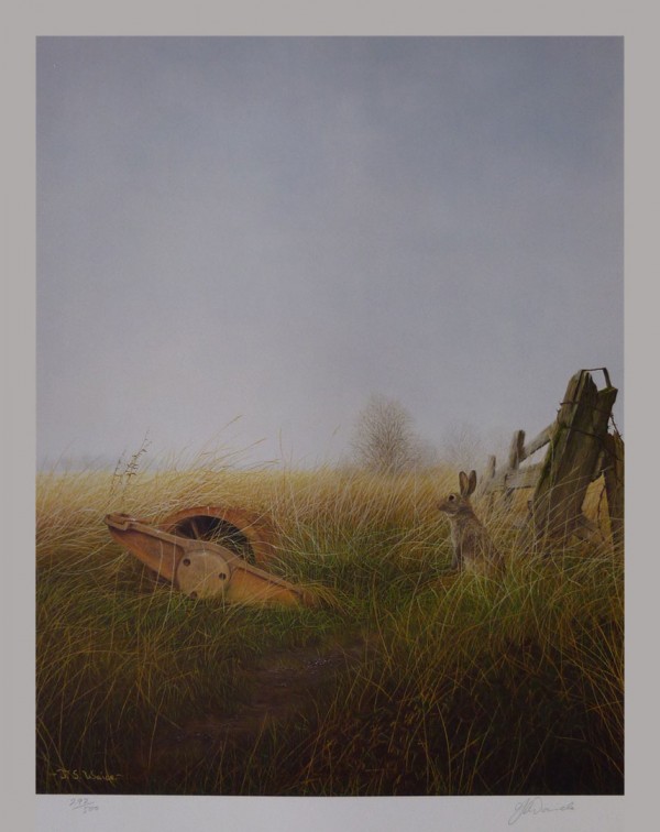 Signed Limited Print – “Cambridge Roller” (Hare)