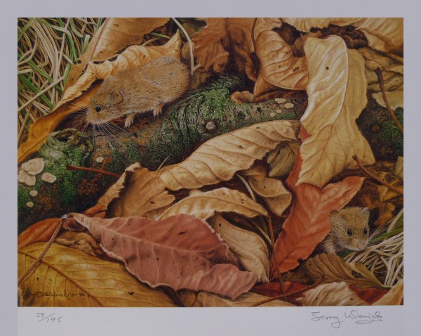Signed Limited Print (unframed) – Amongst the Leaves