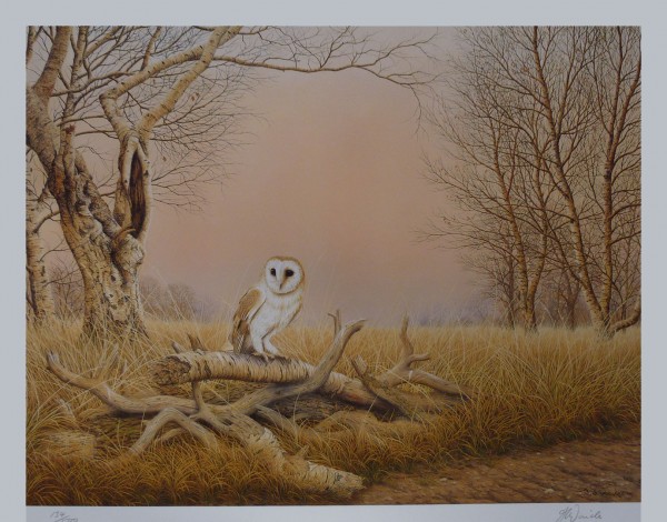 Signed Limited Print – Twilight (Barn Owl)