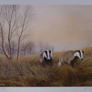 Signed Limited Print (unframed) – “On the Move” (Badgers)