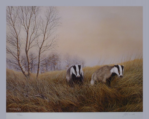 Signed Limited Print – “On the Move” (Badgers)