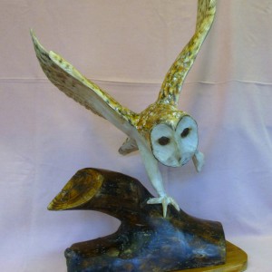 X(SOLD) Barn Owl in Flight (Sycamore with Pyrography finish)