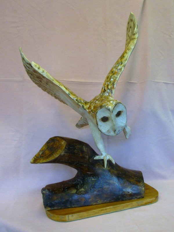 X(SOLD) Barn Owl in Flight (Sycamore with Pyrography finish)