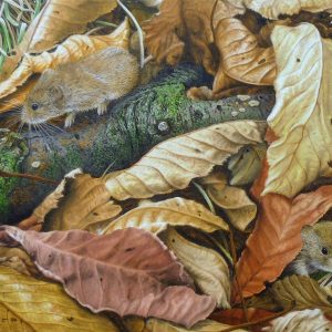 X(SOLD) Amongst the Leaves (Bank Voles)