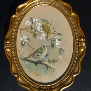 Bird Studies – Goldcrests on White Blossom